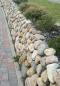 Preview: 1000 kg Nordische Findlinge 10-50cm Natursteine Friesenwall Steine inkl. Versand